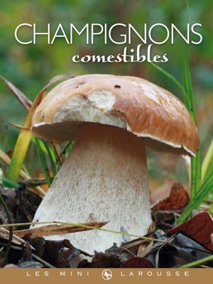 cover image of Champignons comestibles